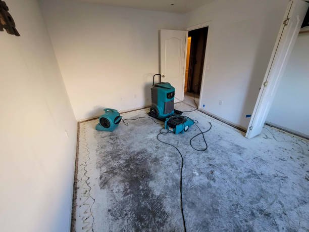 Best Water damage cleanup near me  in Eagleview, PA