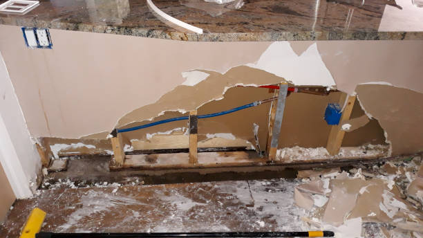 Best Water damage cleanup near me  in Eagleview, PA