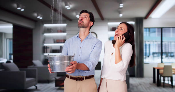 Best Basement water damage restoration  in Eagleview, PA
