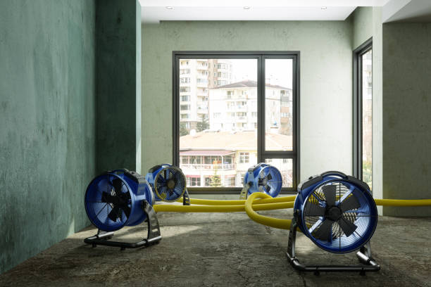 Best Residential water damage restoration  in Eagleview, PA