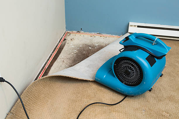 Best Fire Damage Restoration  in Eagleview, PA